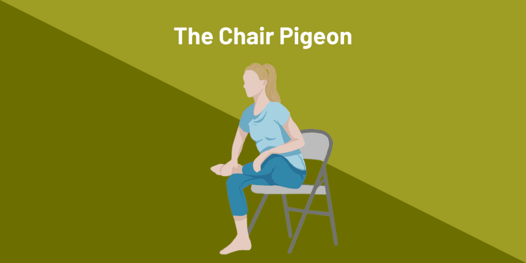 The Chair Pigeon