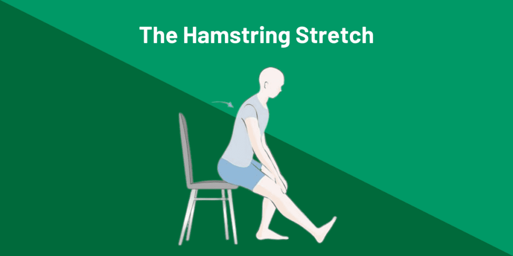 The Hamstring Stretch