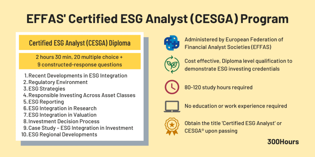 EFFAS' Certified ESG Analyst (CESGA): Our Epic Guide 2