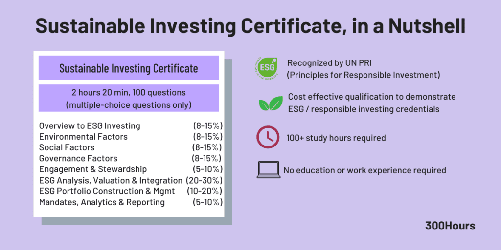 cfa sustainable investing certificate summary esg